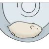 Стикер 40 🐹 Видеоанимированный набор эмоджи с хомячком