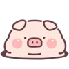 Стикер 19 Piggy