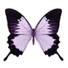 Стикер 36 Lilac Dream