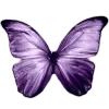 Стикер 25 Lilac Dream