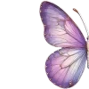 Стикер 47 Lilac Dream
