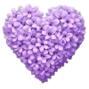 Стикер 24 Lilac Dream