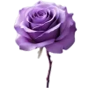 Стикер 35 Lilac Dream