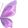 Стикер 43 Lilac Dream