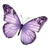 Стикер 7 Lilac Dream