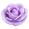 Стикер 14 Lilac Dream