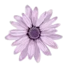 Стикер 8 Lilac Dream
