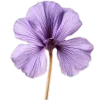 Стикер 23 Lilac Dream