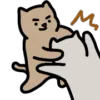 Стикер 26 🐈 Видеоанимированный набор эмоджи с котиками