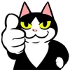 Стикер 49 Fat Cat