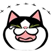 Обложка набора Fat Cat