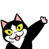 Стикер 13 Fat Cat
