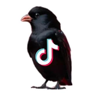 Стикер 9 Logo4