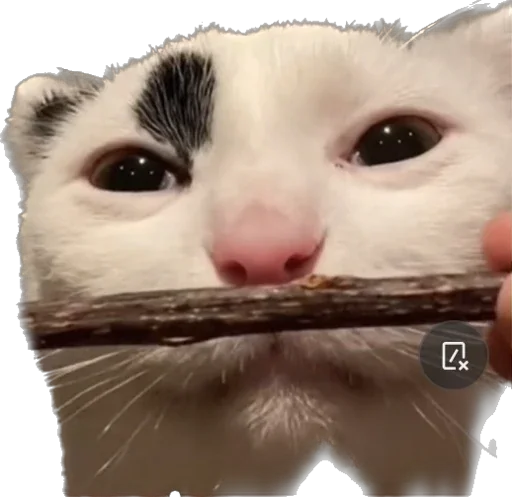 😟 Стикер «Lolipupppp» для Telegram