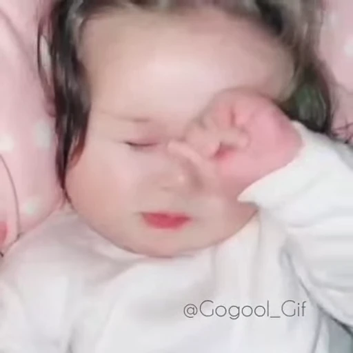 🐬 Стикер «𝓑𝔂" "🐬💙» для Telegram