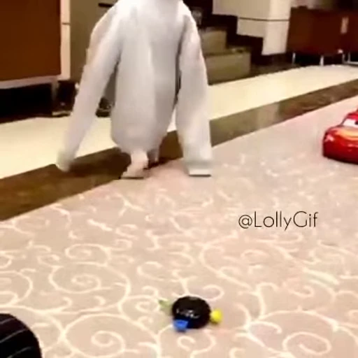 🐬 Стикер «𝓑𝔂" "🐬💙» для Telegram