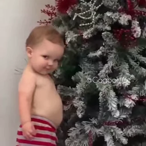 🐬 Стикер «𝓑𝔂" "🐬💙» для Telegram