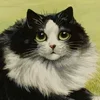 Стикер 40 Louis Wain Cats