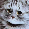 Стикер 8 Louis Wain Cats