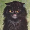 Стикер 42 Louis Wain Cats