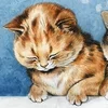 Стикер 16 Louis Wain Cats