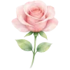 Стикер 29 Love