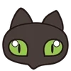 Обложка набора 😍 Cats - котики парный черный и белый