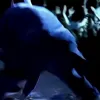 Стикер 13 Eminem,