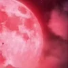 Стикер 20 Luna Kindred