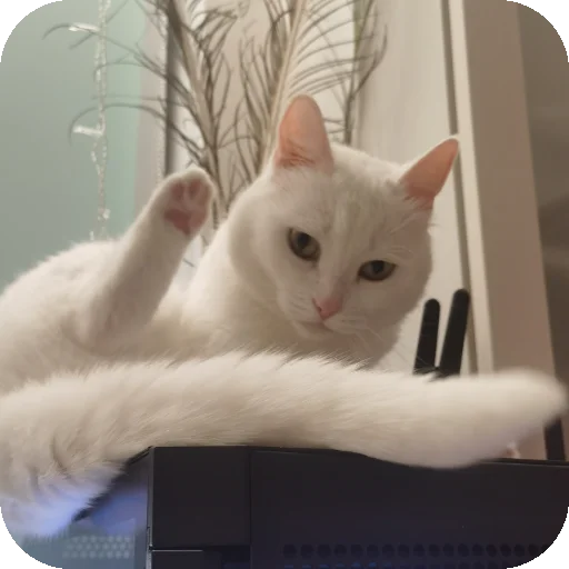 👍 Стикер «МАРГОША И МАРС» для Telegram