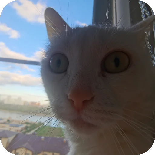 👍 Стикер «МАРГОША И МАРС» для Telegram