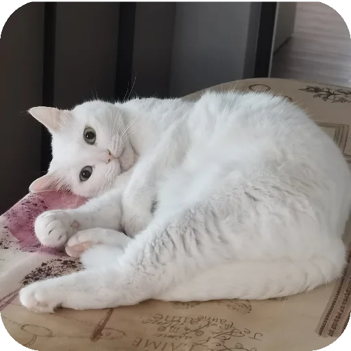 👍 Стикер «МАРГОША И МАРС» для Telegram