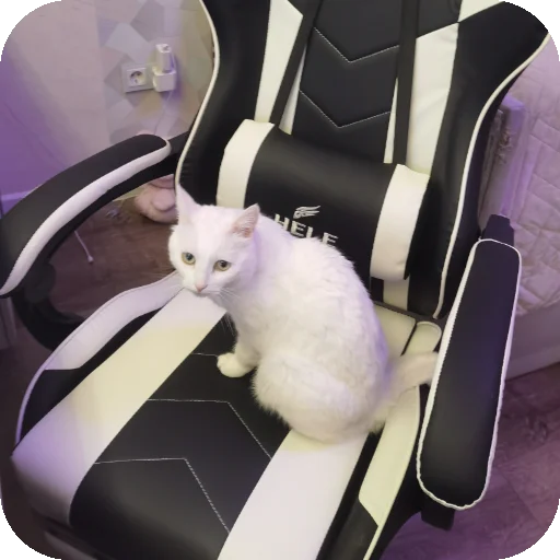 👍 Стикер «МАРГОША И МАРС» для Telegram