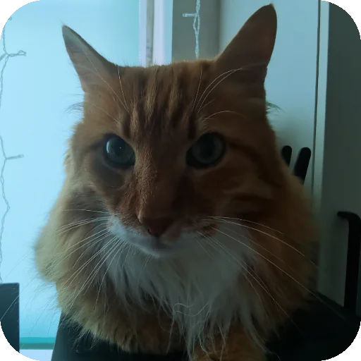 👍 Стикер «МАРГОША И МАРС» для Telegram