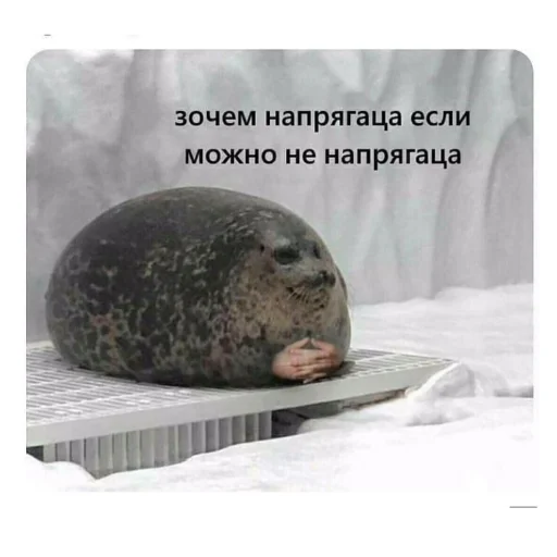 😌 Стикер «Eeeee"Boy» для Telegram