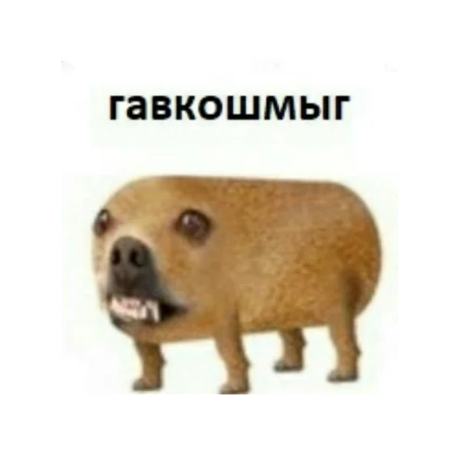 🐶 Стикер «Eeeee"Boy» для Telegram