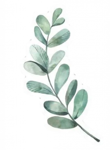 🌿 Стикер «(◕‿◕) Ⓒⓤⓣⓘⓔ» для Telegram