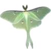Стикер 53 Green