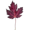 Стикер 36 Mahakaruna Autumn