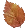 Стикер 31 Mahakaruna Autumn