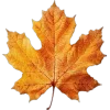 Стикер 4 Mahakaruna Autumn