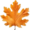Стикер 22 Mahakaruna Autumn