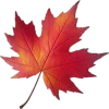 Стикер 30 Mahakaruna Autumn