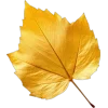 Стикер 20 Mahakaruna Autumn