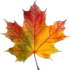 Стикер 35 Mahakaruna Autumn