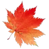 Стикер 2 Mahakaruna Autumn