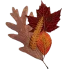 Стикер 21 Mahakaruna Autumn
