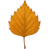Стикер 27 Mahakaruna Autumn