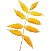Стикер 14 Mahakaruna Autumn