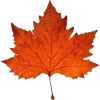 Стикер 28 Mahakaruna Autumn